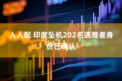 人人配 印度坠机202名遇难者身份已确认