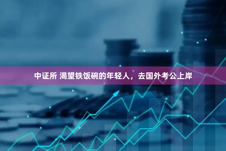 中证所 渴望铁饭碗的年轻人，去国外考公上岸